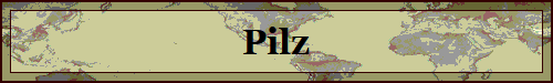 Pilz